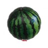 Foliowy w kształcie arbuza Balon Ibrex Hel, okrągły 14", Watermelons, 1 szt.