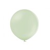 Lateksowe okrągłe zielone Balony D5 Pastel Kiwi Cream, 100 szt. 12 cm. 5"