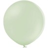 Lateksowe okrągłe zielone Balony D5 Pastel Kiwi Cream, 100 szt. 12 cm. 5"