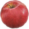 Foliowe balony w kształcie jabłka Ibrex Hel, okrągły 14", Apples, 5 szt.