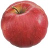 Foliowy w kształcie jabłka Balon Ibrex Hel, okrągły 14", Apples, 1 szt.