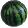 Foliowy w kształcie arbuza Balon Ibrex Hel, okrągły 14", Watermelons, 1 szt.