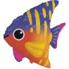 Foliowy balon kolorowa w kształcie "Rybka" 24" - 61 cm. 1 szt.